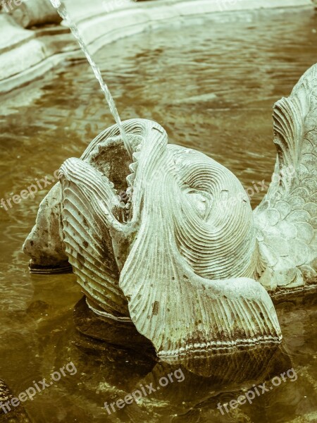 Fish Fountain Gargoyle Water Sculpture