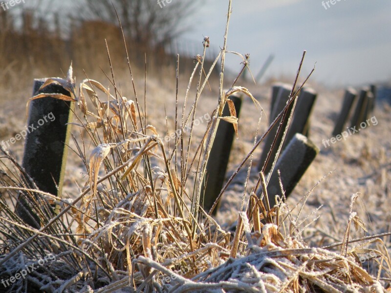 Posts Winter White Nature Morning