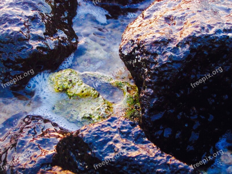 Tide Pool Shore Ocean Water Rock