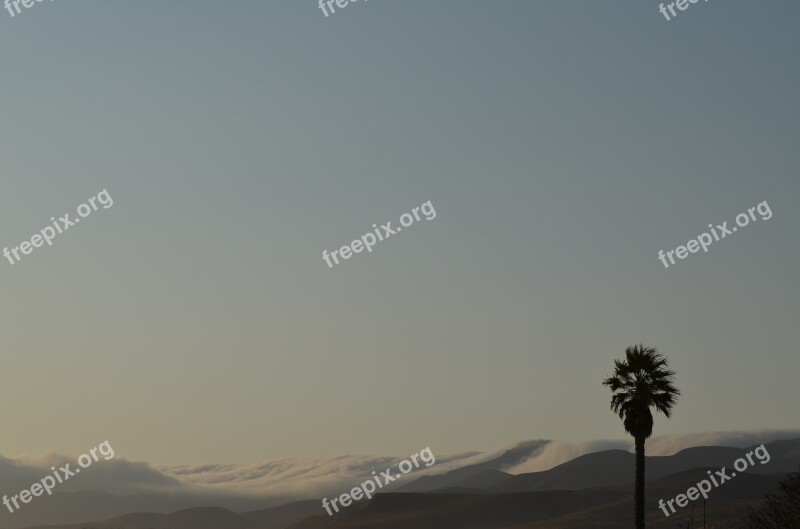 Clouds Wave Palm Sky Summer Usa