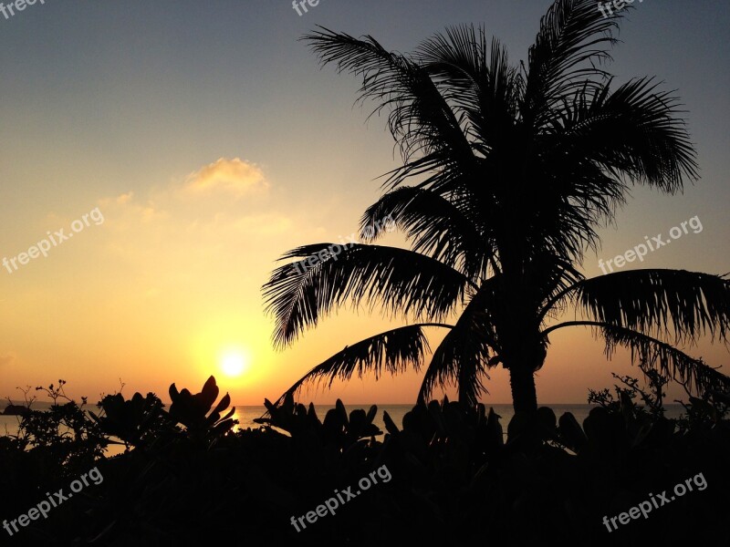 Sunset Plant Beach Sea Okinawa