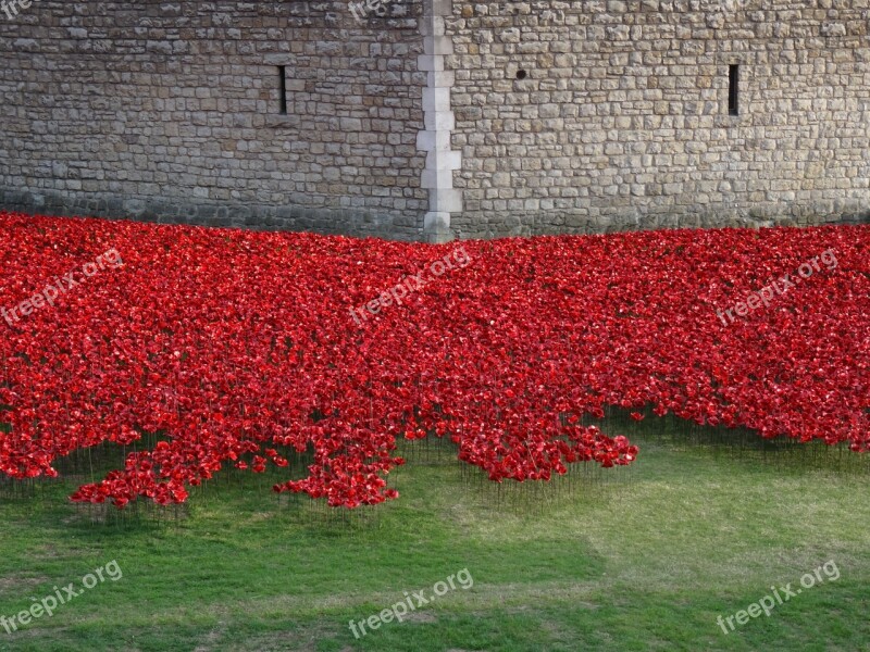 Flowers England Tower London Commemorate