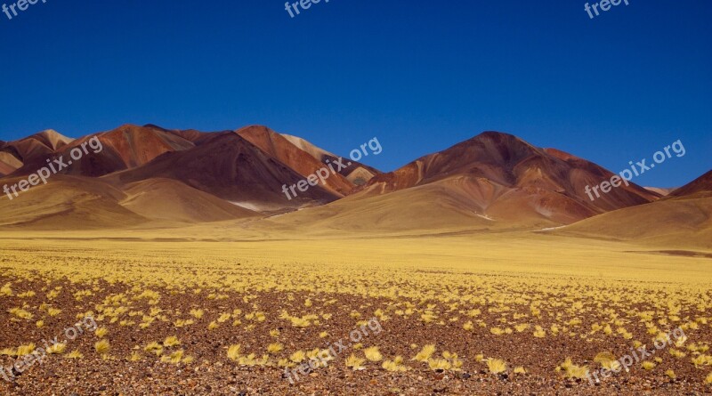 Mountain Argentina Nature Andes Landscape