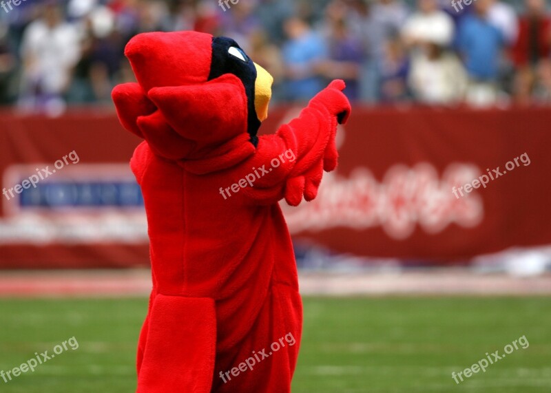 Mascot Team Mascot Football Stadium Cardinal Emblem