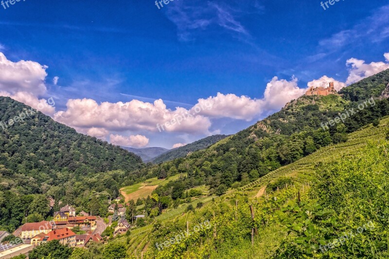 Landscape France Alsace Vosges Forest