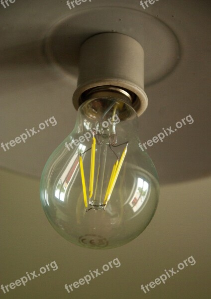 Bulb Electricity Lighting Lamp Filament