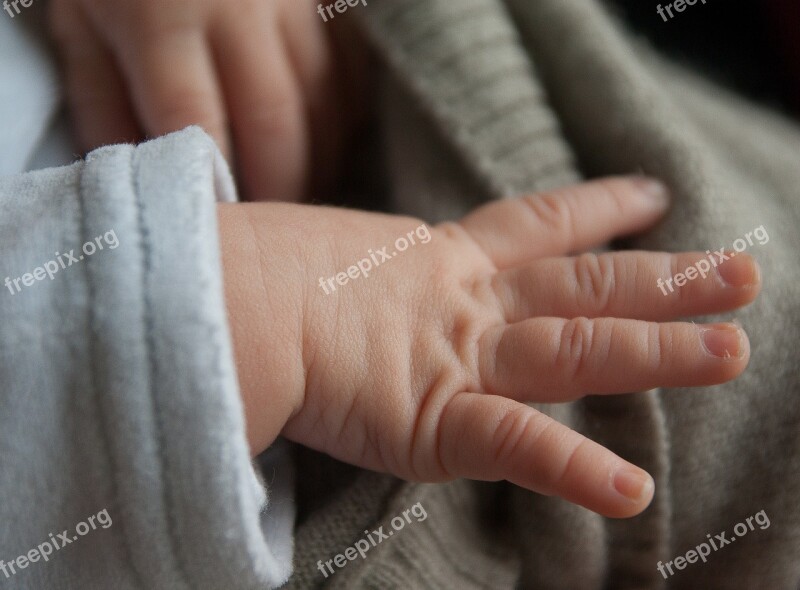 Baby Hand Birth Child Free Photos