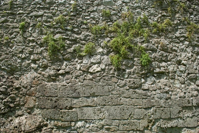 Stone Wall Wall Garden Nature Texture