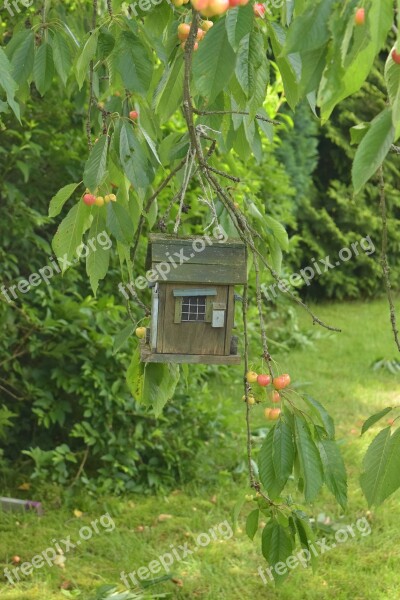 Bird Feeders Garden Aviary Nature Funny