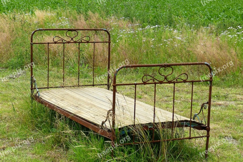 Bed Field Rust Nature In The Free