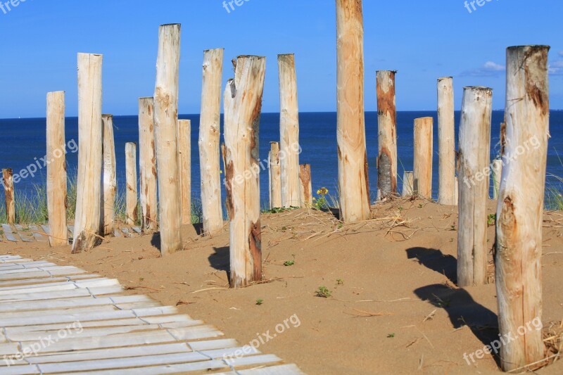 Wood Beach Sea Wooden Path Free Photos