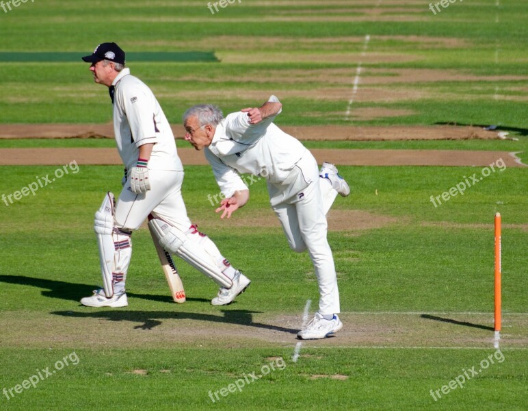 Bowler Batsman Cricket Cricket Match Stumps