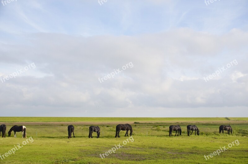 Terschelling Sea View View Maritime Landscape Sea