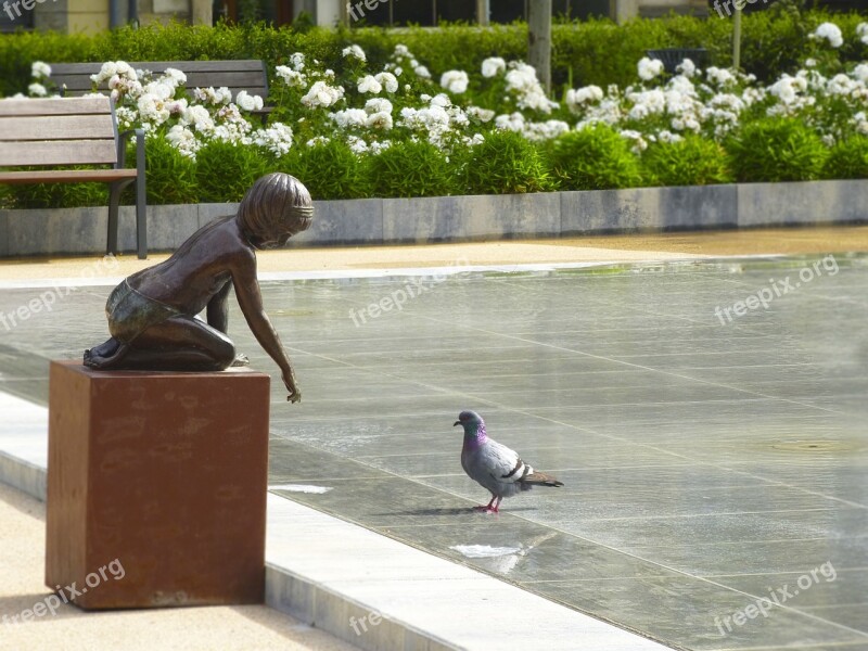 Source Bird Gardens Paloma Park