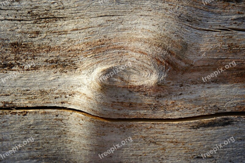 Wood Knot Log Timber Grain