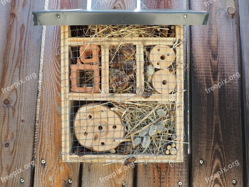 Insect Hotel Bee Bee Hotel Wood Insect