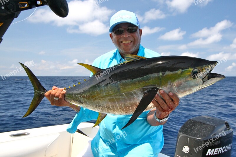 Fishing Ocean Ocean Fishing Costa Rica Yellowfin