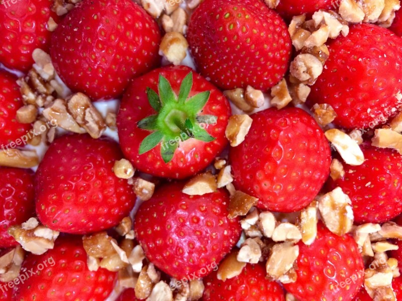 Strawberries Pudding Summer Dessert Free Photos