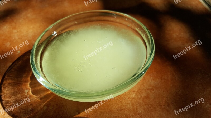 Coconut Oil Glass Dish Organic Bowl Ayurveda