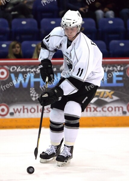 Hockey Hockey Puck Hockey Player Ice Hockey Game