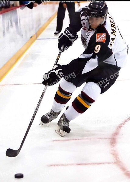 Hockey Ice Hockey Skater Skates Player