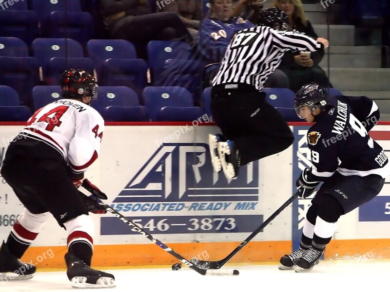 Hockey Referee Ice Hockey Player Jump