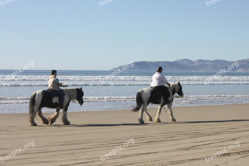 Beach Horses Ocean Outdoor Rider