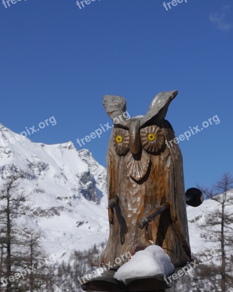 Owl Snow Italy Free Photos