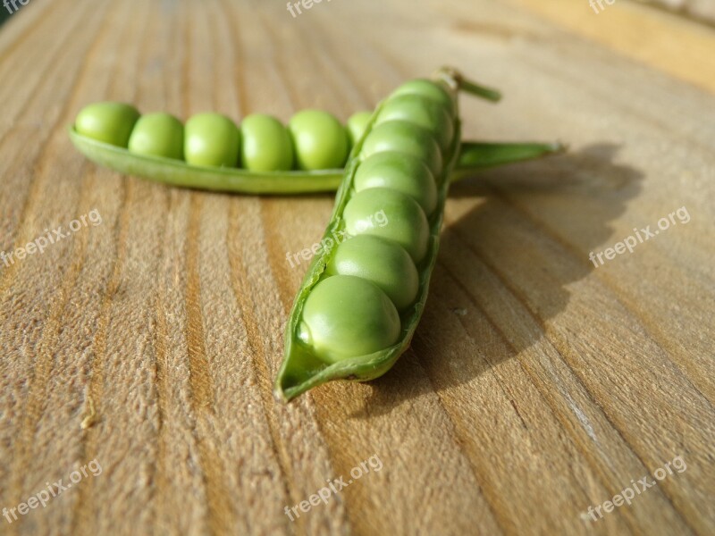 Pea Pod Macro Vegetables Green