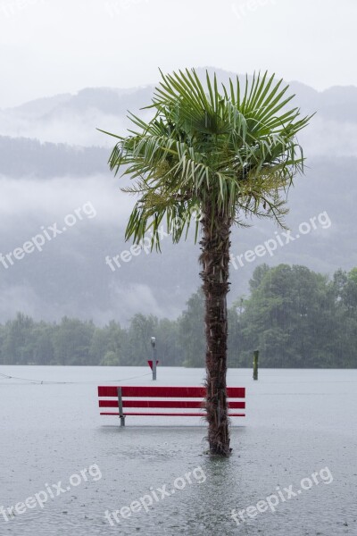 Rain Lake High Water Weather Water