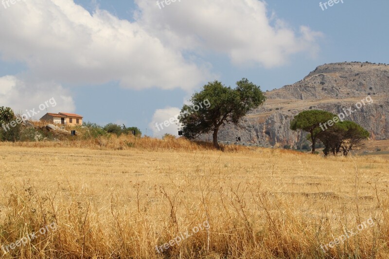 Countryside Sicily Italy Nature Travel