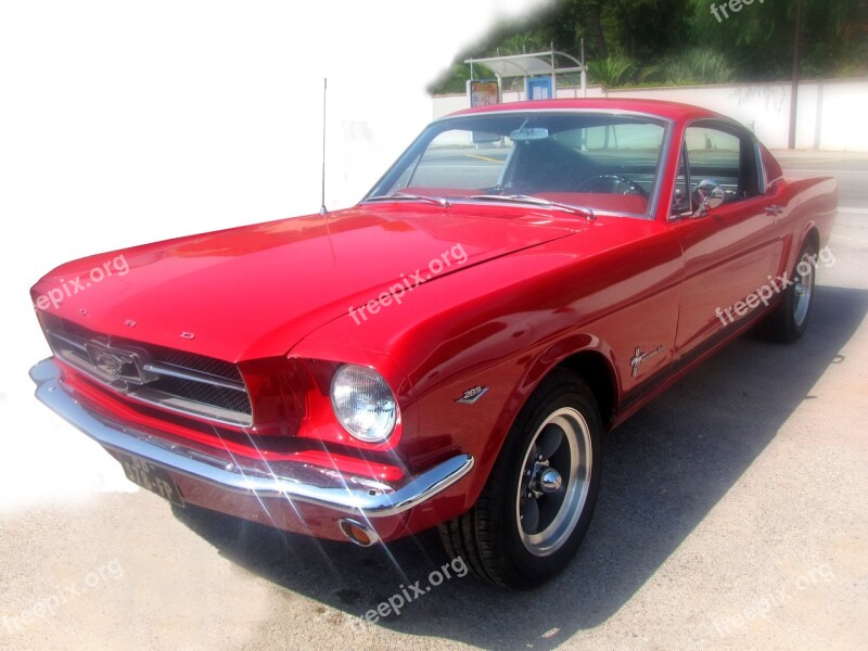 Car Automotive Ford Mustang Red