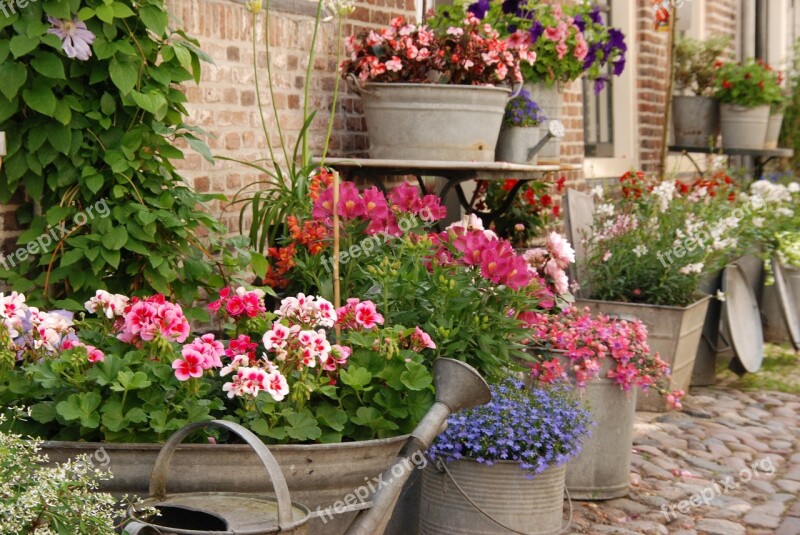 Flowers Bucket Bowl Watering Can Street