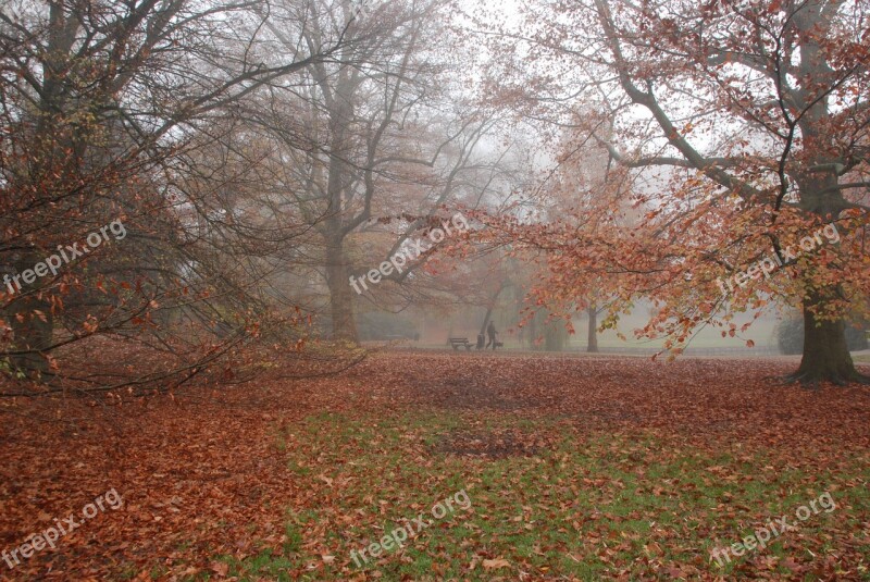 Autumn Fall Colors Fog Mist Moist