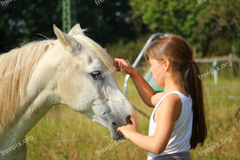 Horse Mold Stallion Thoroughbred Arabian Girl