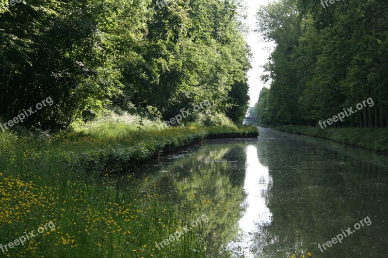 Nature Field Forest Channel Nature Fields