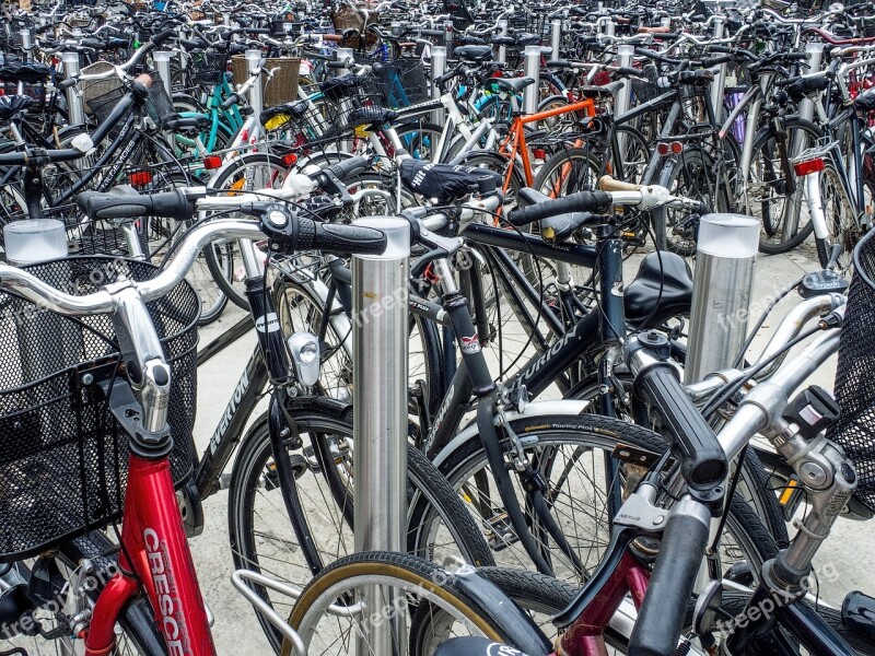 Bicycle Bike Cyclist Parking Parked