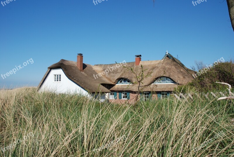 Ahrenshoop Darß Reed Thatched Roof Fischland