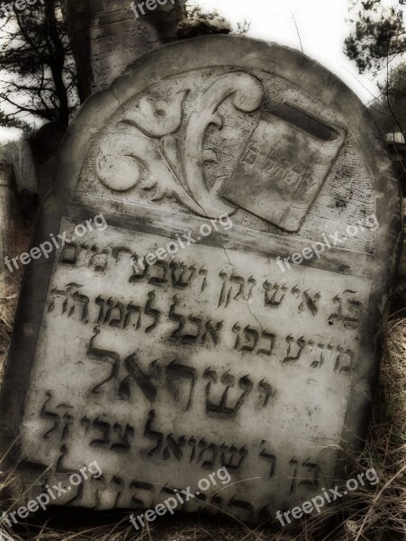 Olkusz Poland Matzeva Necropolis Memory