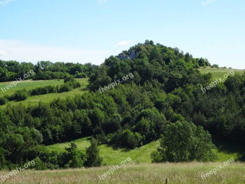 Jerzmanowice Poland Landscape Nature Rock