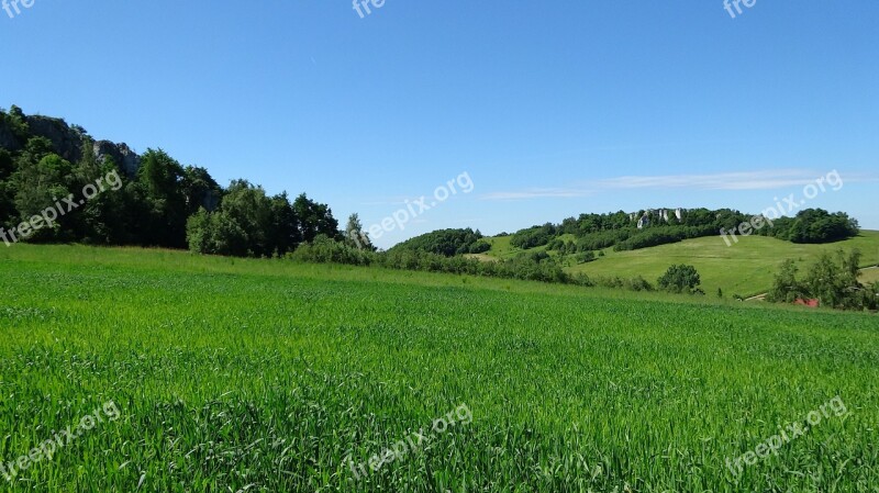 Jerzmanowice Poland Landscape Nature Green