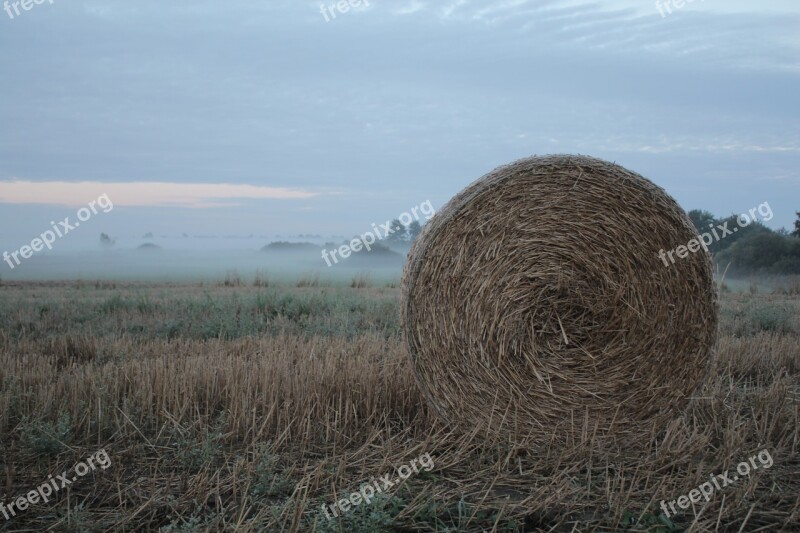 Field Straw Harvest Summer Agriculture