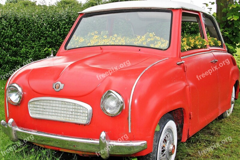 Auto Flowers Bumper Planted Car Planted Red