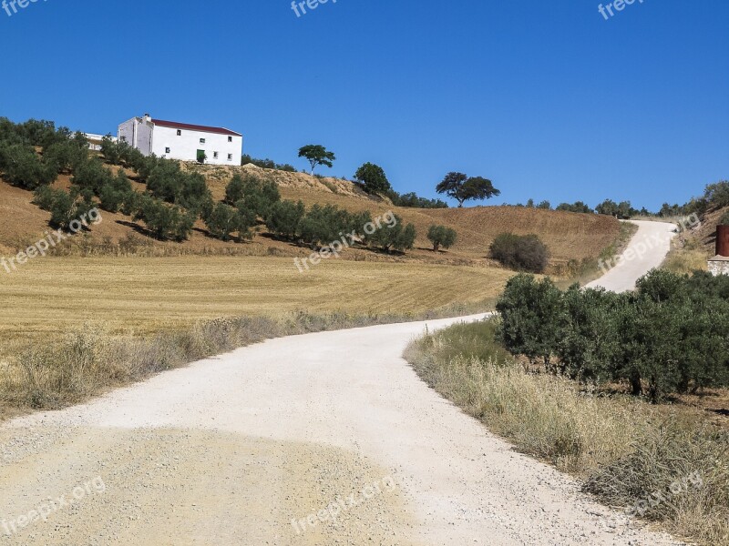 Farmhouse Bed And Breakfast Path Olive Trees Trail