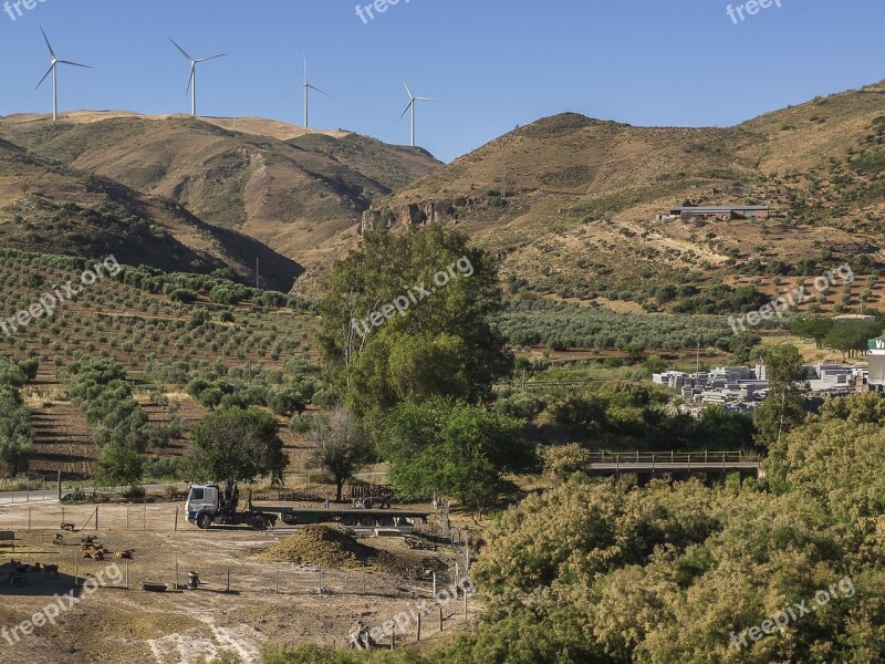 Landscapes Montes Eucalyptus Olive Trees Regajos