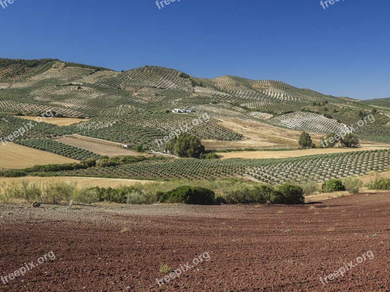 Landscapes Nature Mountain Sky Field