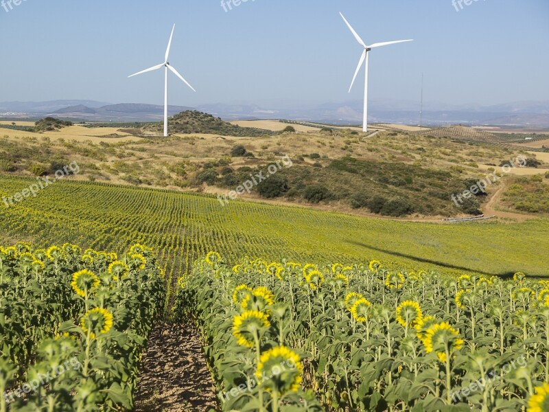 Wind Park Wind Energy Renewable Mill Power Generation