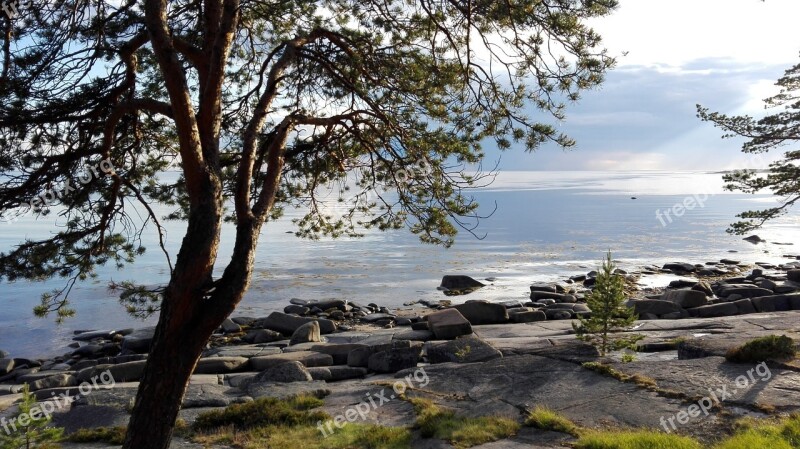 North Onega White Sea Nature Free Photos