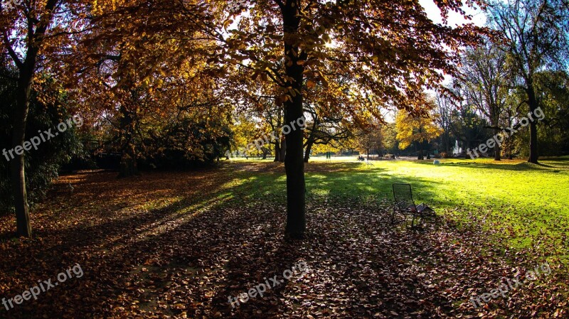 Autumn Autumn Colours Fall Foliage Trees Fall Color