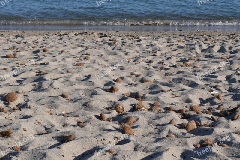 Beach Sea Coast Background Sand